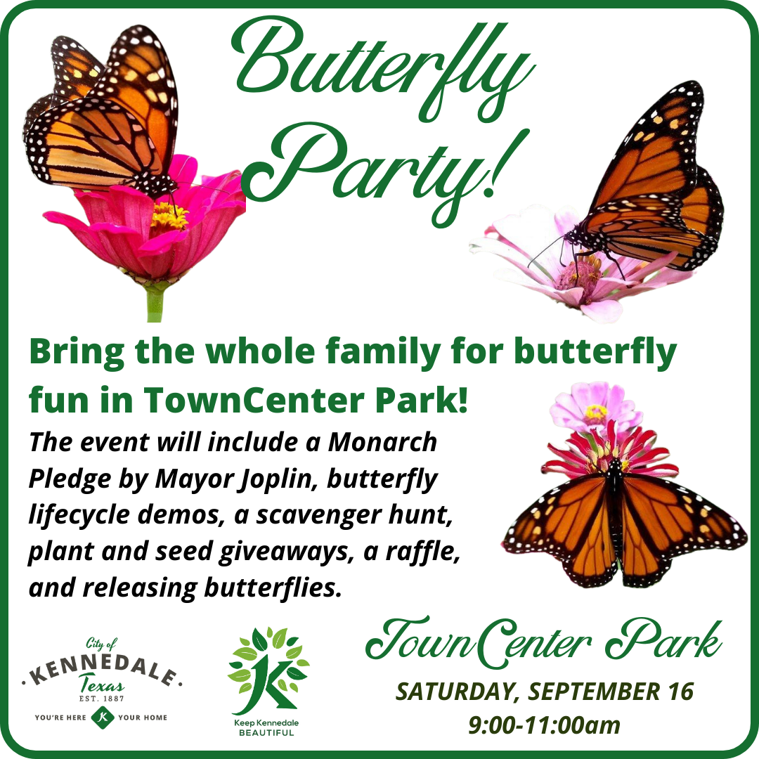 Butterfly Party September 16